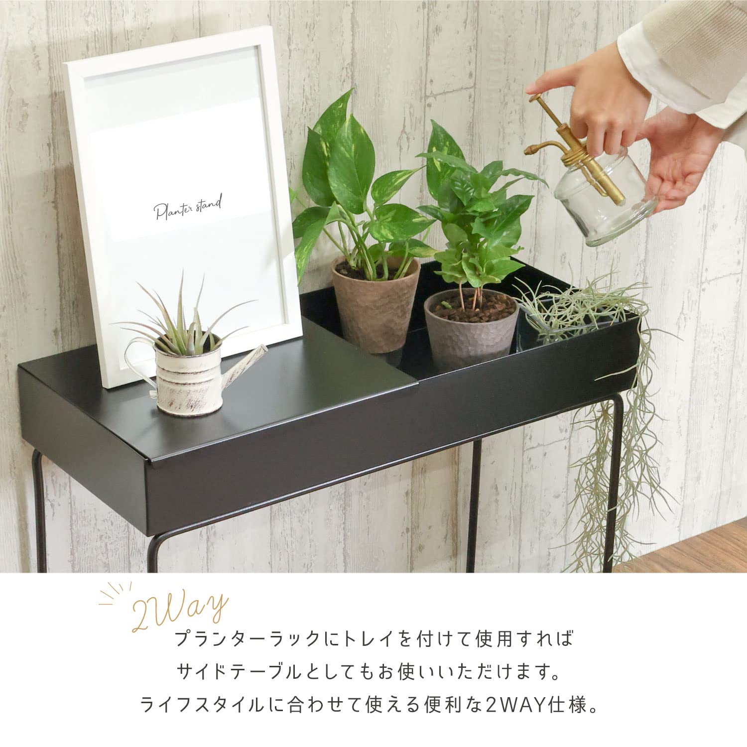 Amazon.co.jp: Rocotto プランター アイアン フラワースタンド